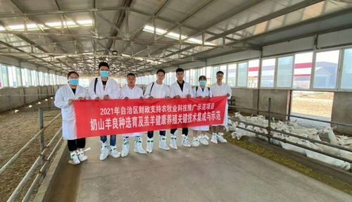內蒙古農牧業科學院依托 農牧業科技推廣示范項目 助力奶山羊產業發展